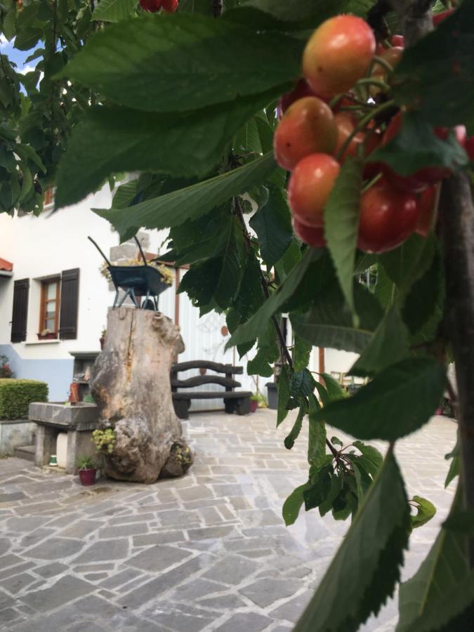 Ekialde Rural ξενώνας Arantza Εξωτερικό φωτογραφία