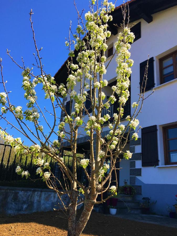 Ekialde Rural ξενώνας Arantza Εξωτερικό φωτογραφία